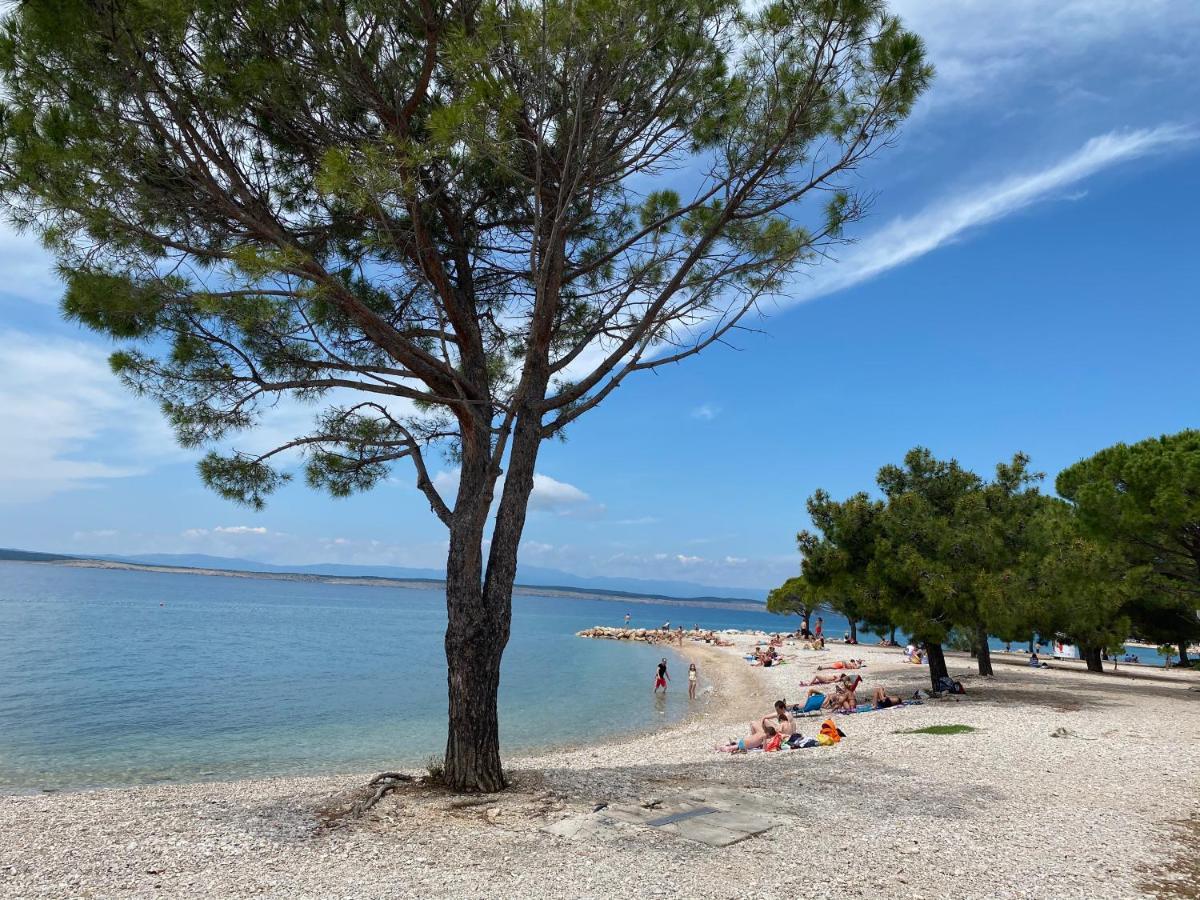 Family Apartments Vesna- 100 M Beach -Center Цриквениця Екстер'єр фото